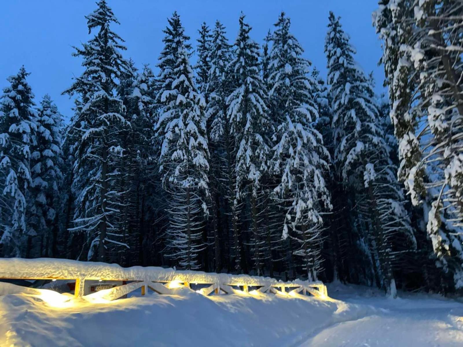 Hotel Algara Hut Panicziszte Zewnętrze zdjęcie